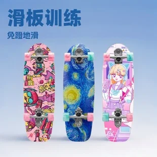 Complete Surfskate for Beginners