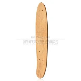 Custom Mini Cruiser Deck - Graphic Case